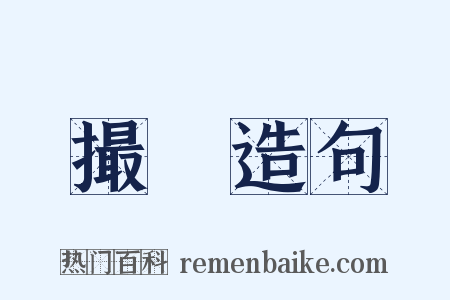 撮録造句是什么意思的图片